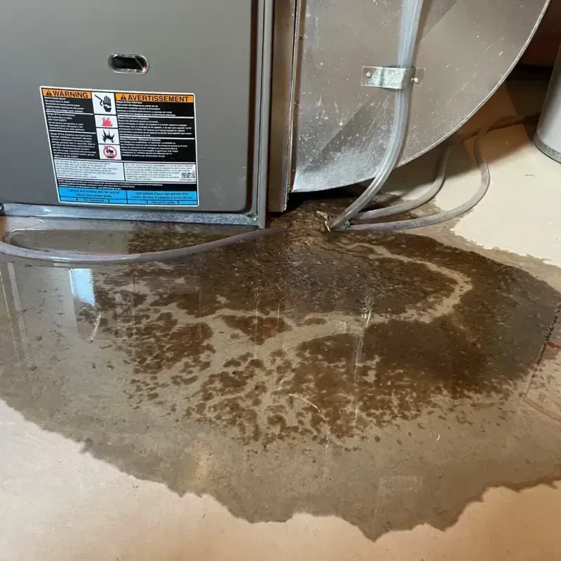 Appliance Leak Cleanup in Coulee Dam, WA